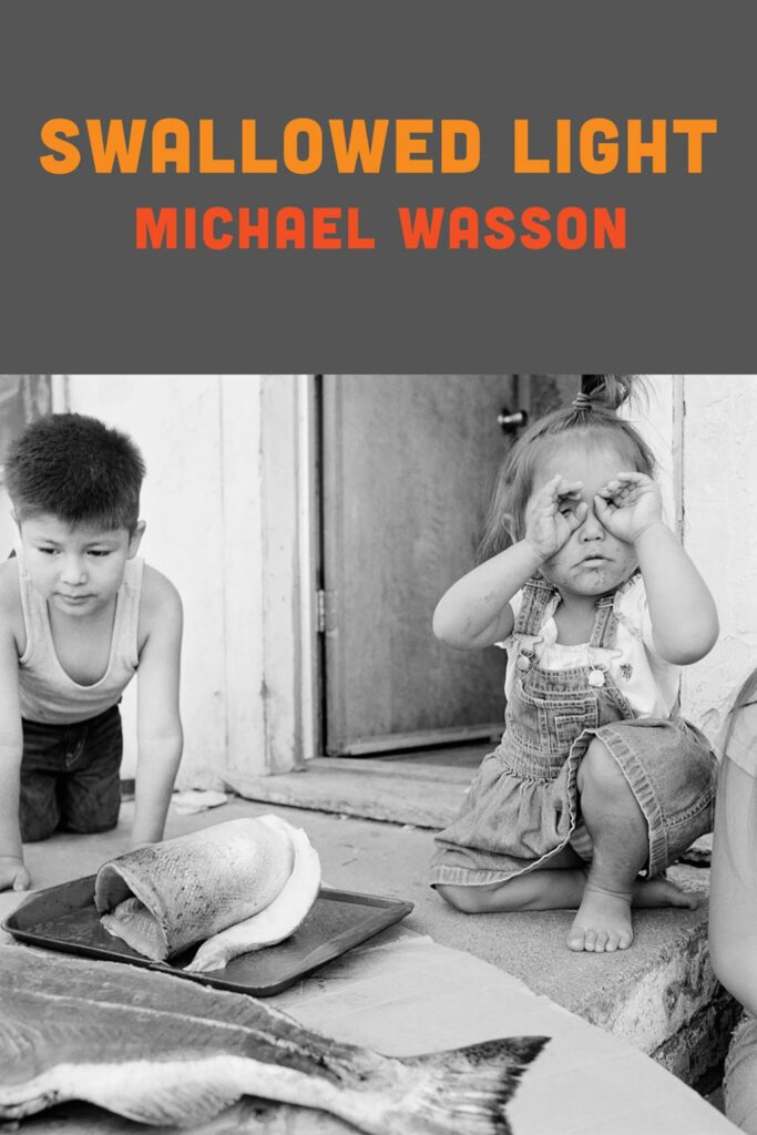 Swallowed Light Michael Wasson poetry book